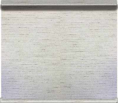 Designer & Blackout Roller image