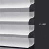 E1 002 img