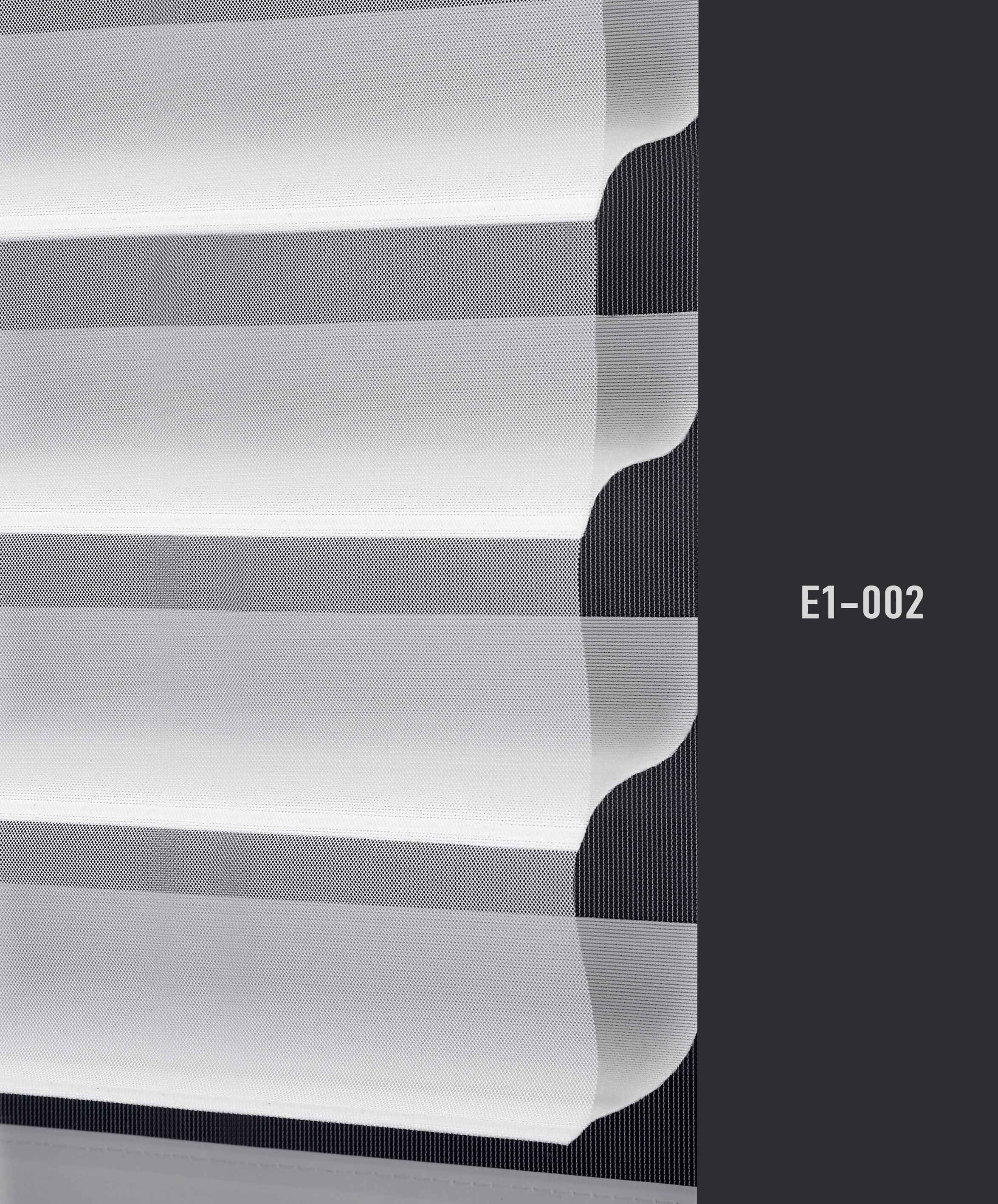 E1 002 img