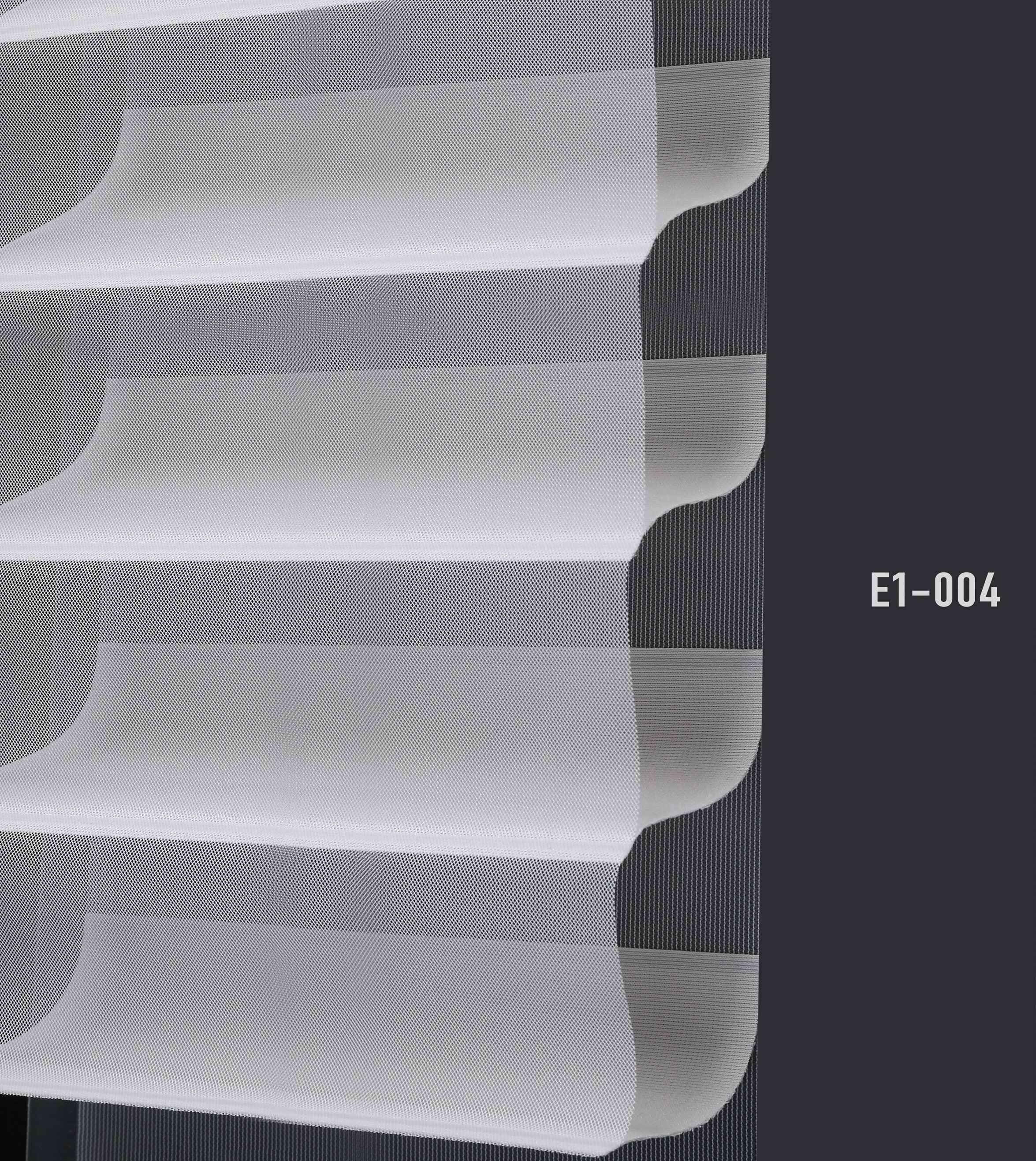 E1 004 img