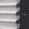 E1 003 img