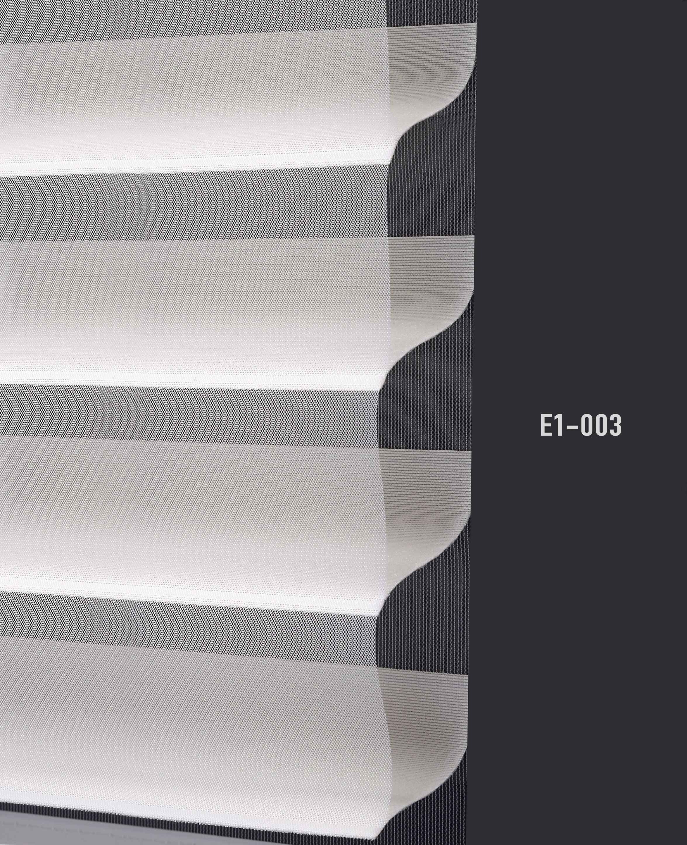 E1 003 img