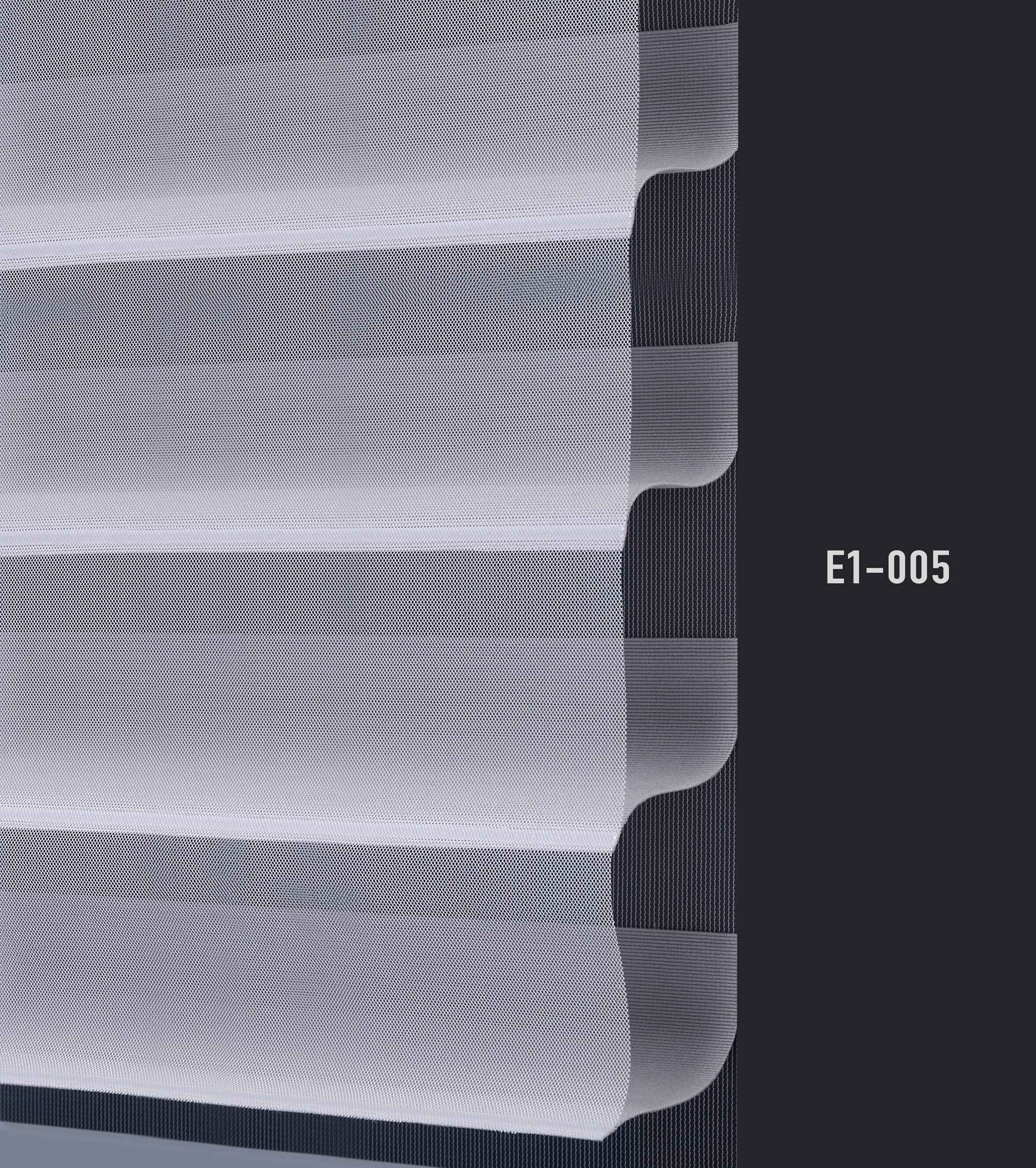 E1 005 img