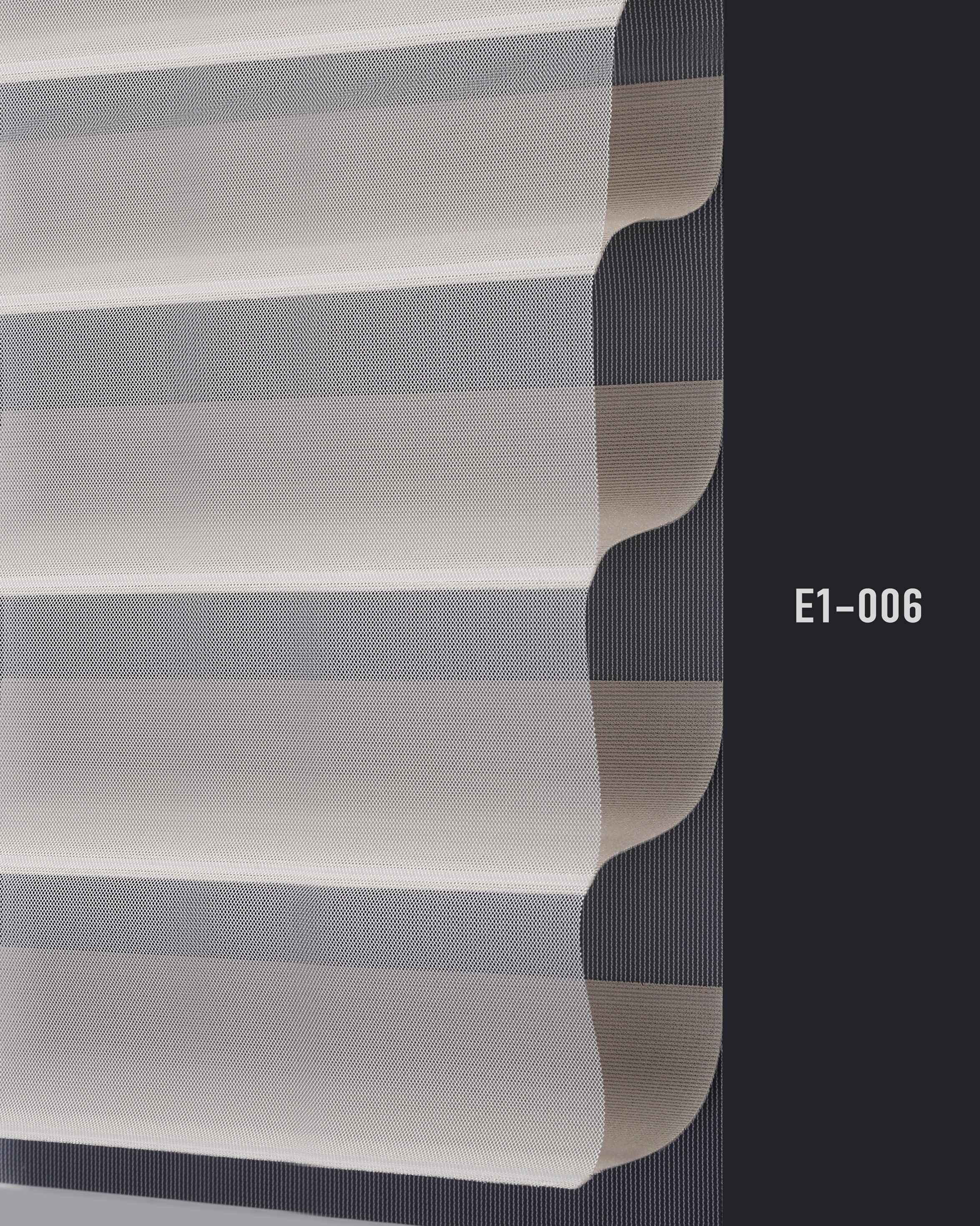 E1 006 img