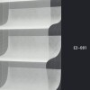 E2 001 img