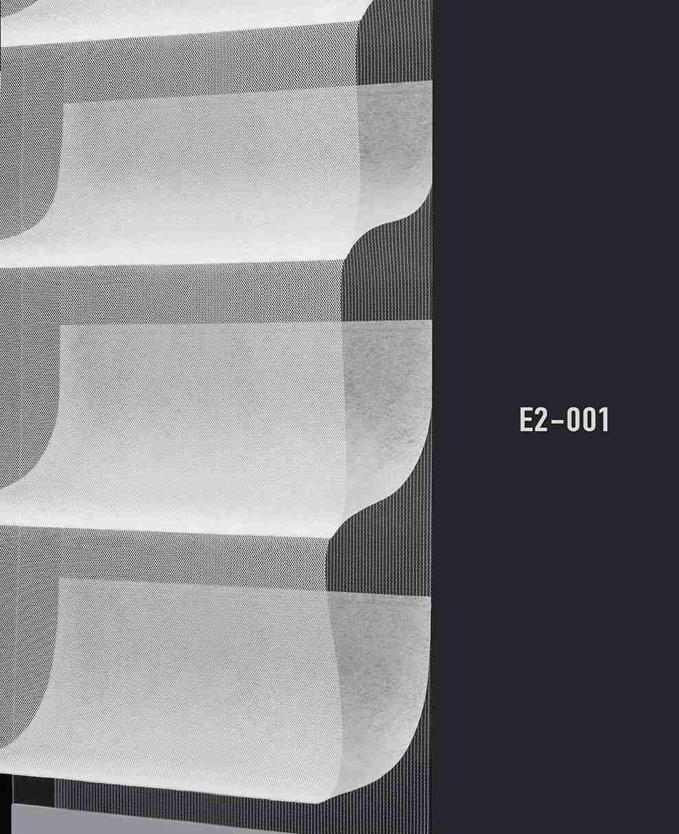 E2 001 img