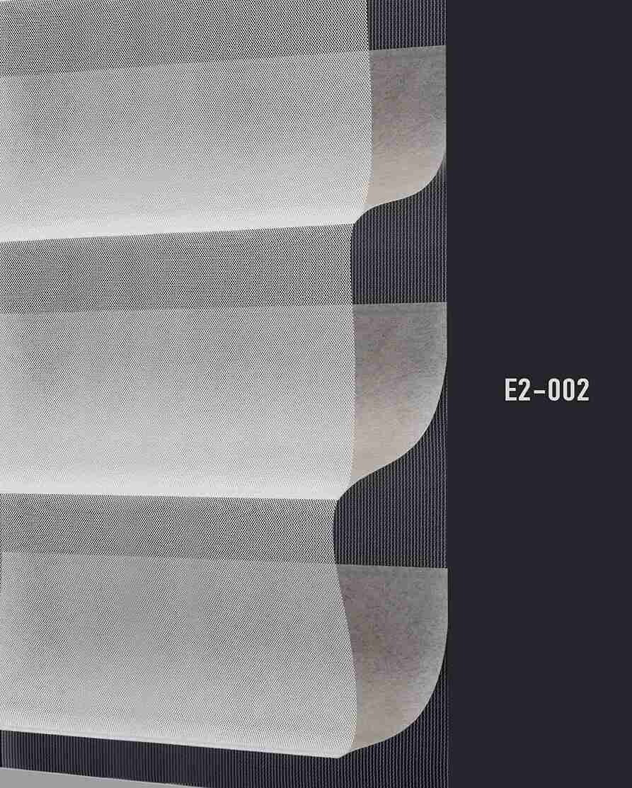 E2 002 img