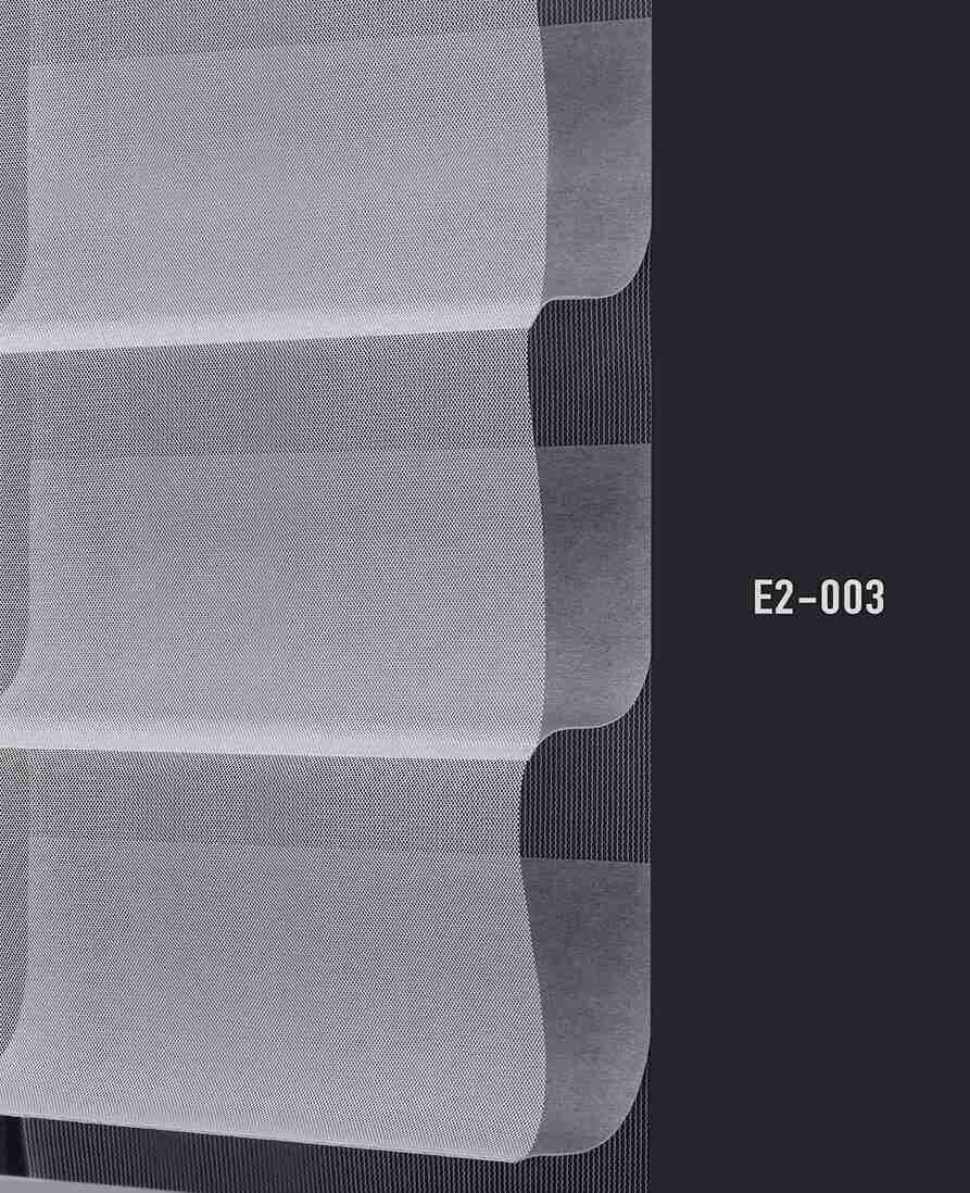 E2 003 img
