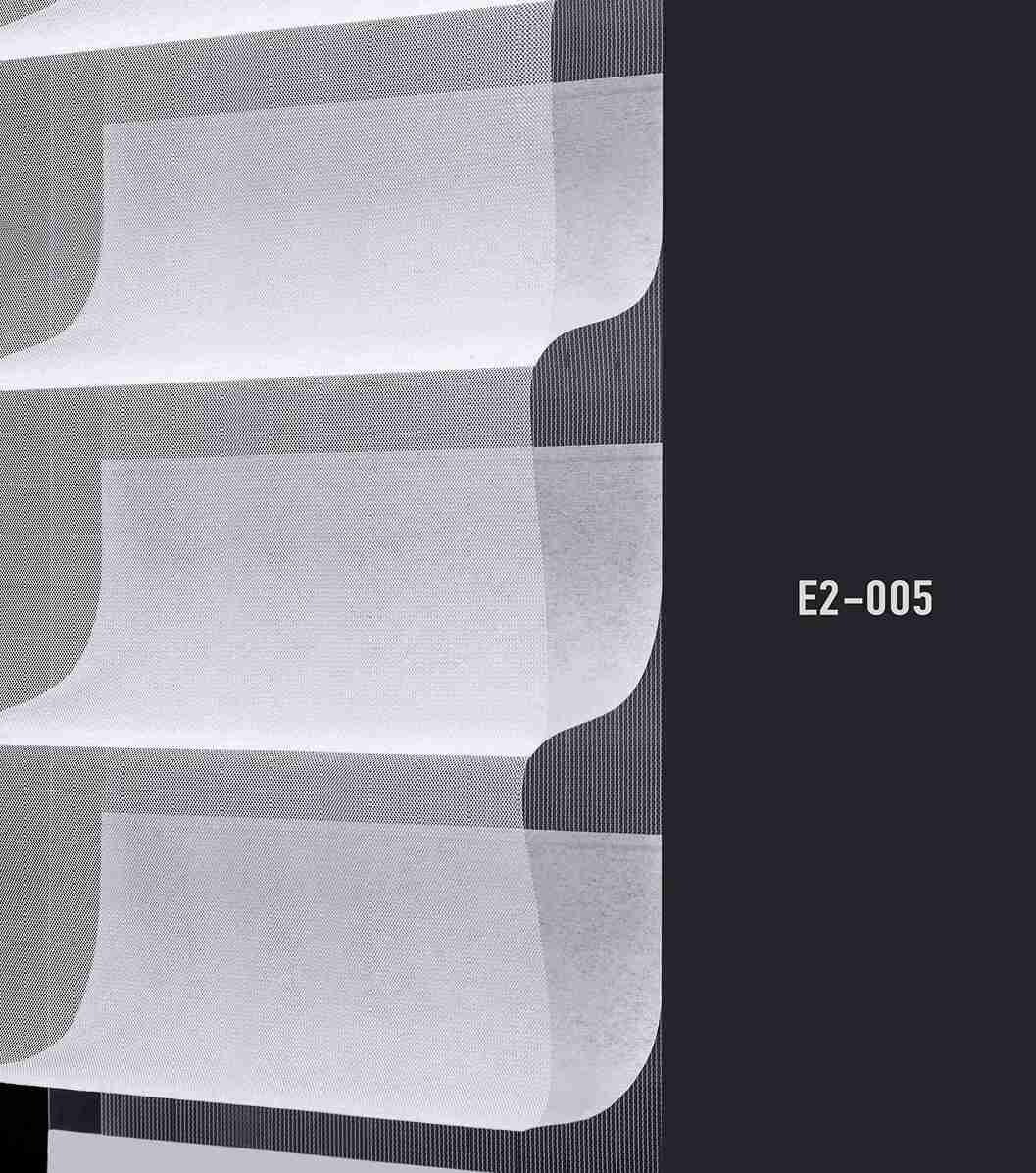 E2 005 img
