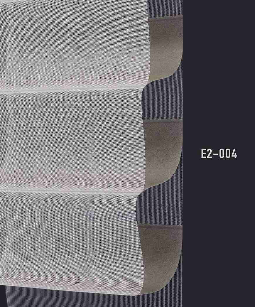 E2 004 img