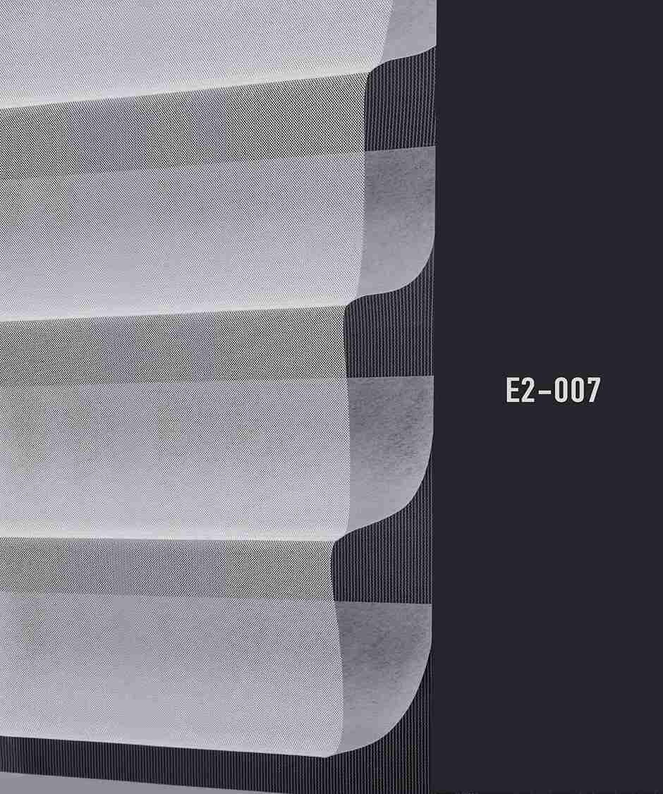 E2 007 img