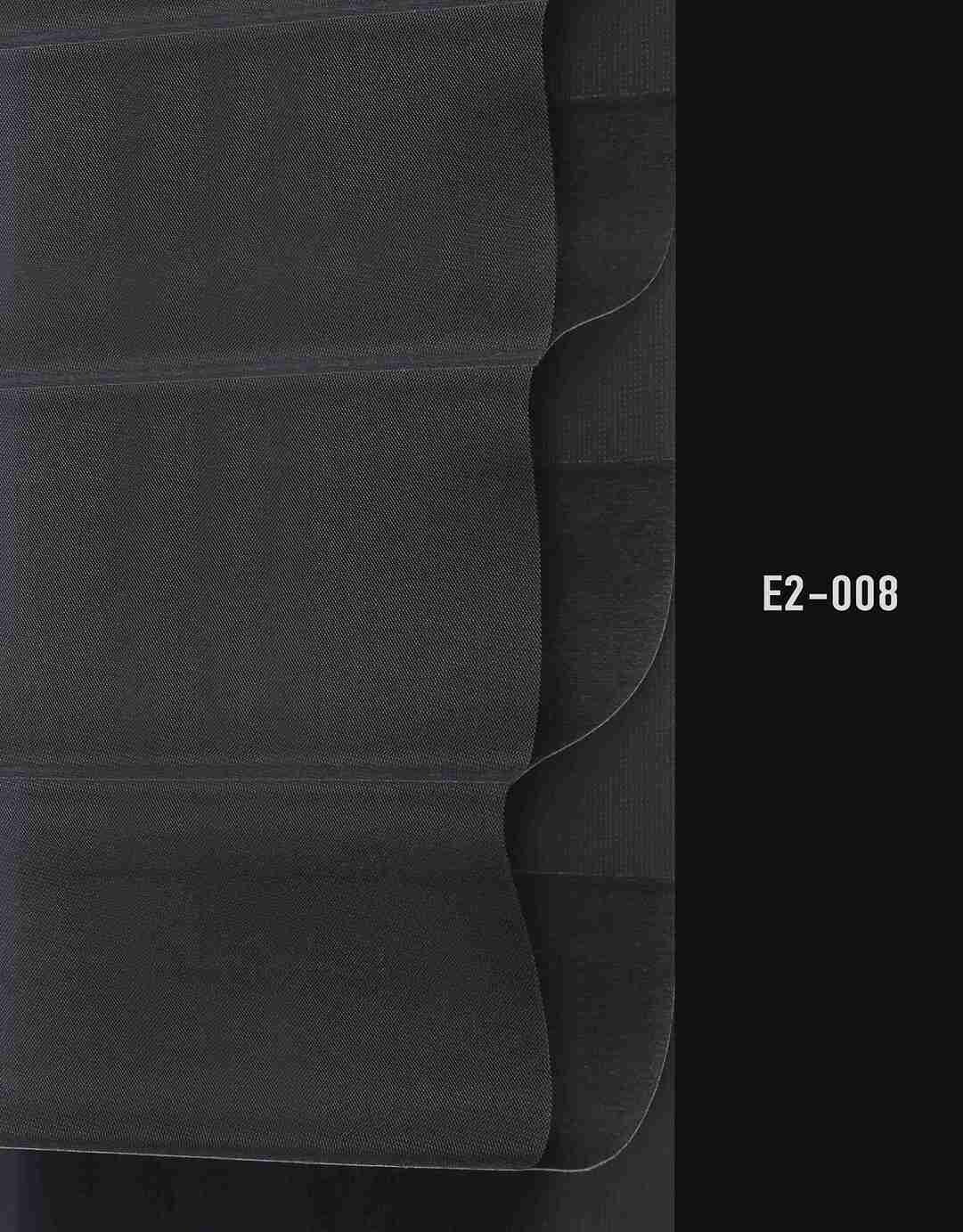 E2 008 img