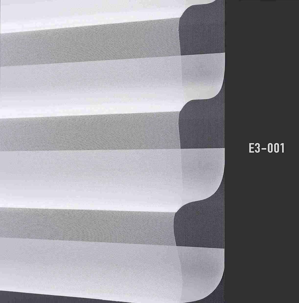 E3 001 img