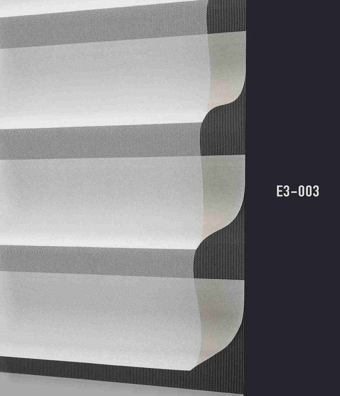 E3 003 img