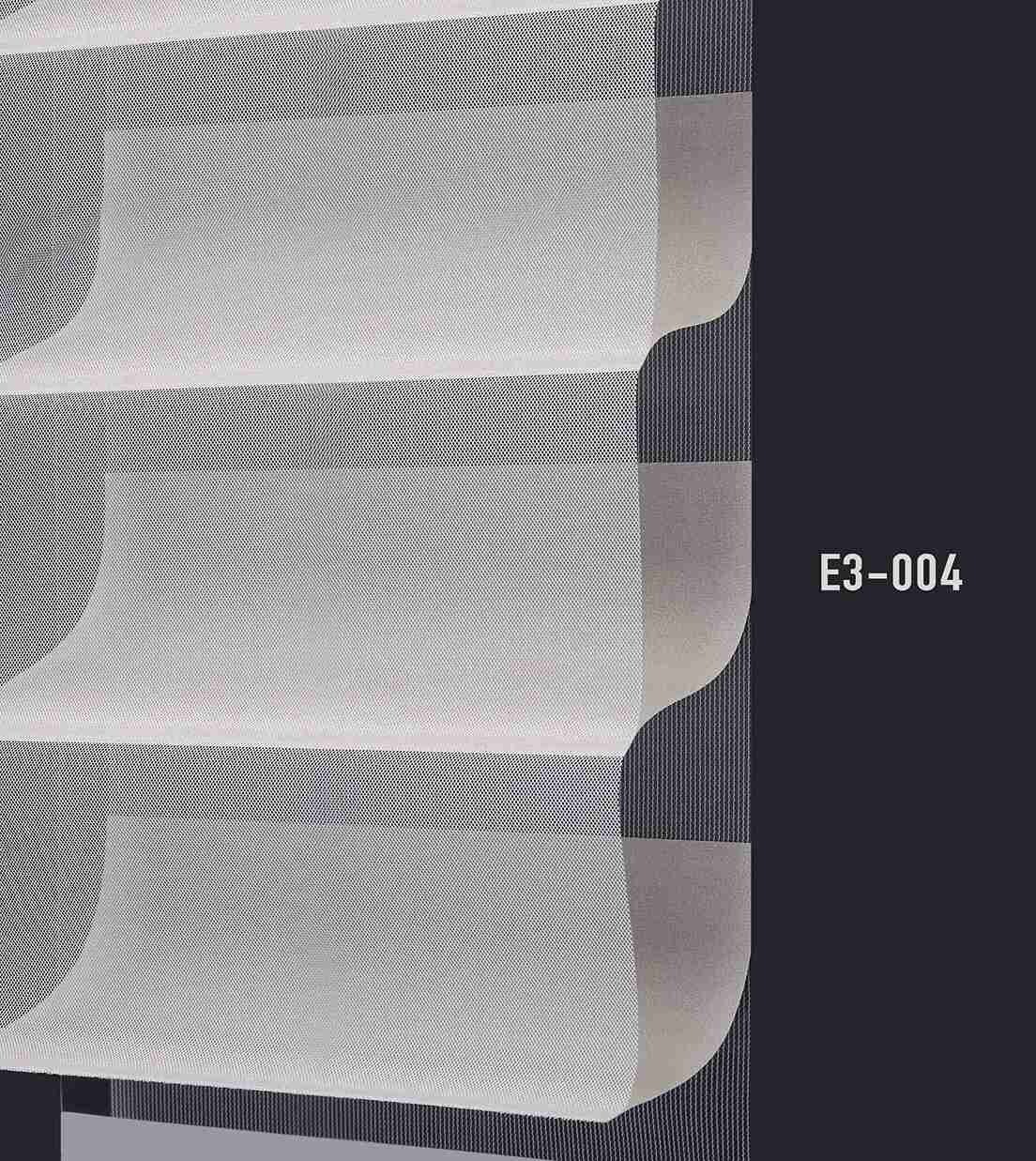 E3 004 img