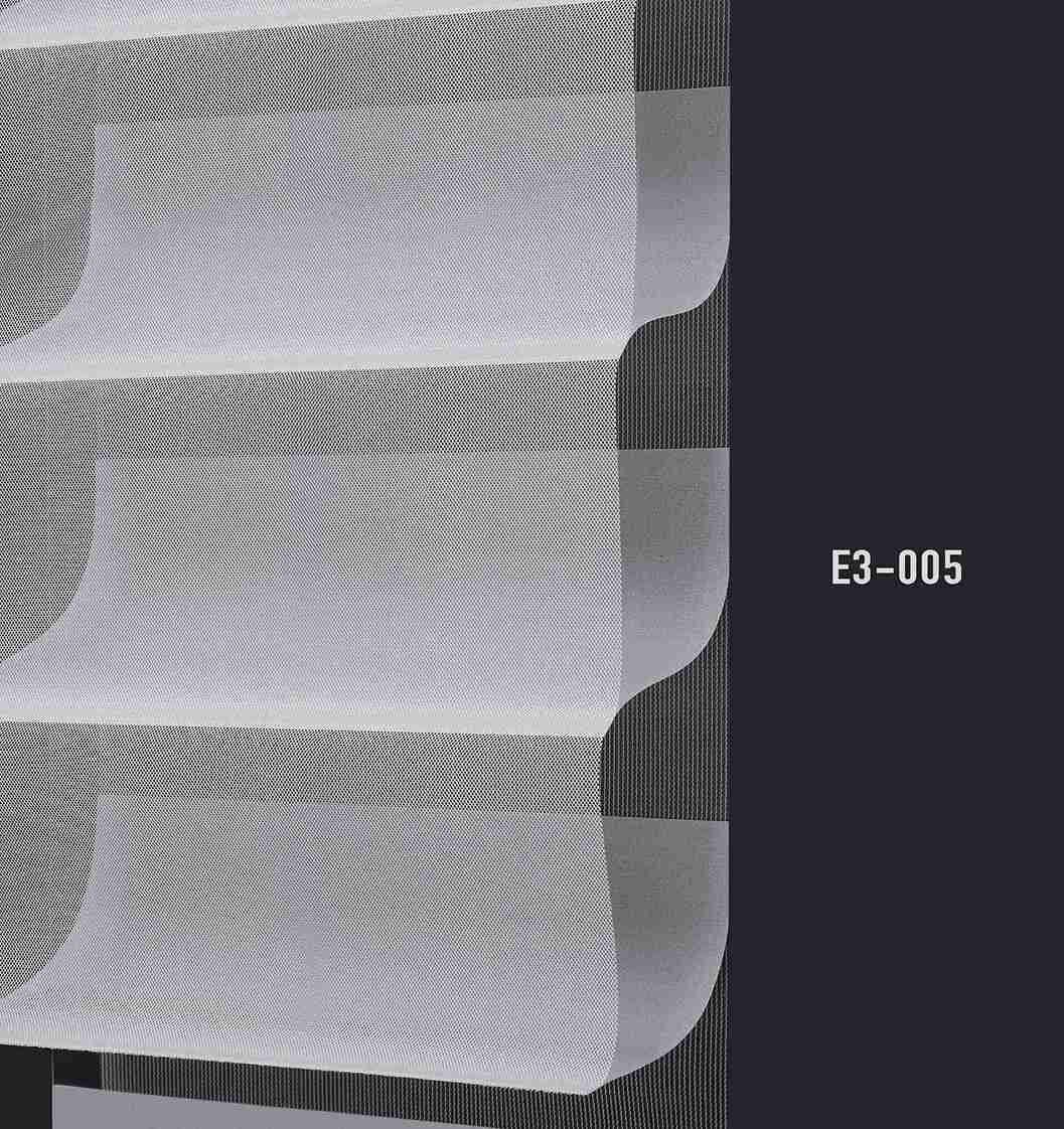 E3 005 img