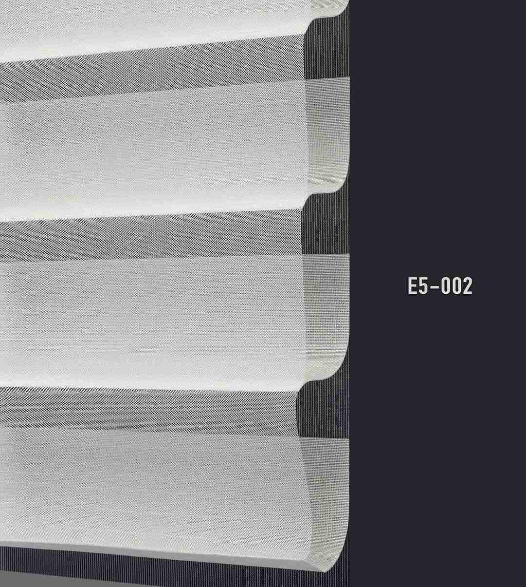 E5 002 img