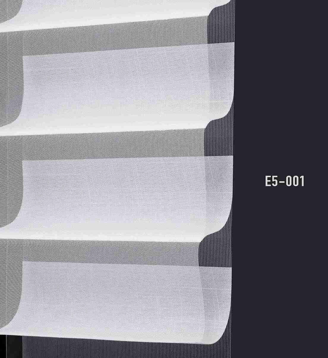 E5 001 img