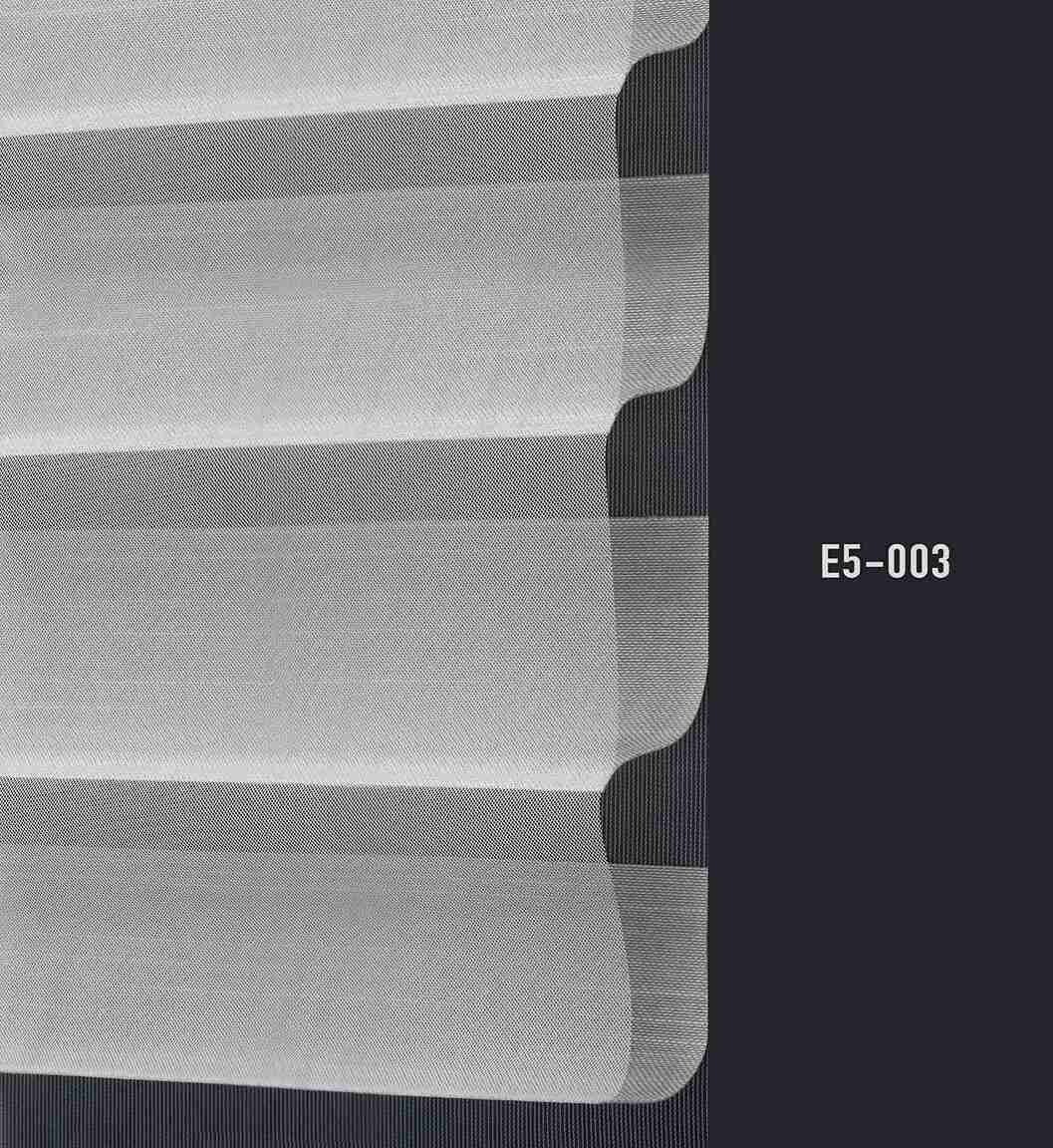 E5 003 img