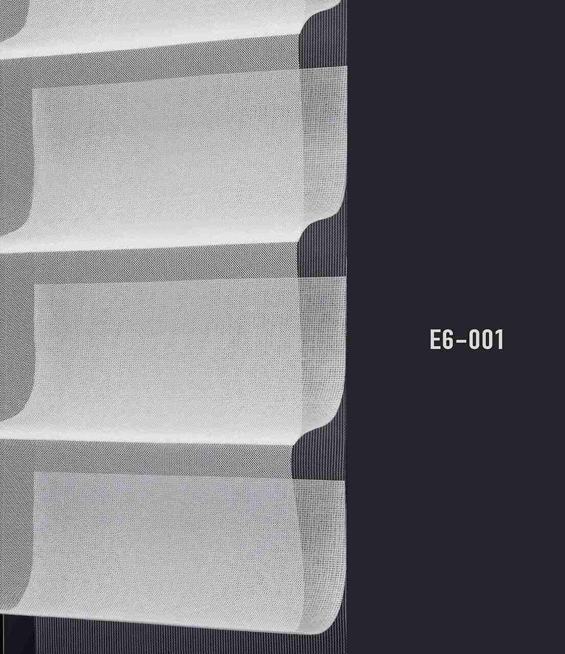 E6 001 img