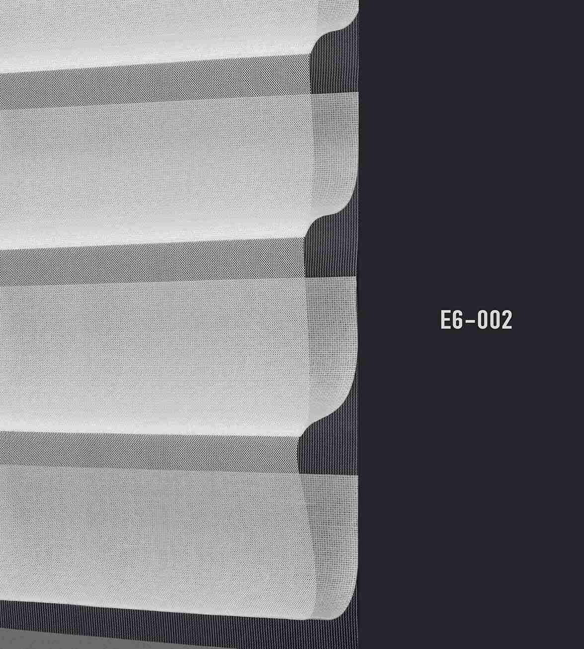 E6 002 img