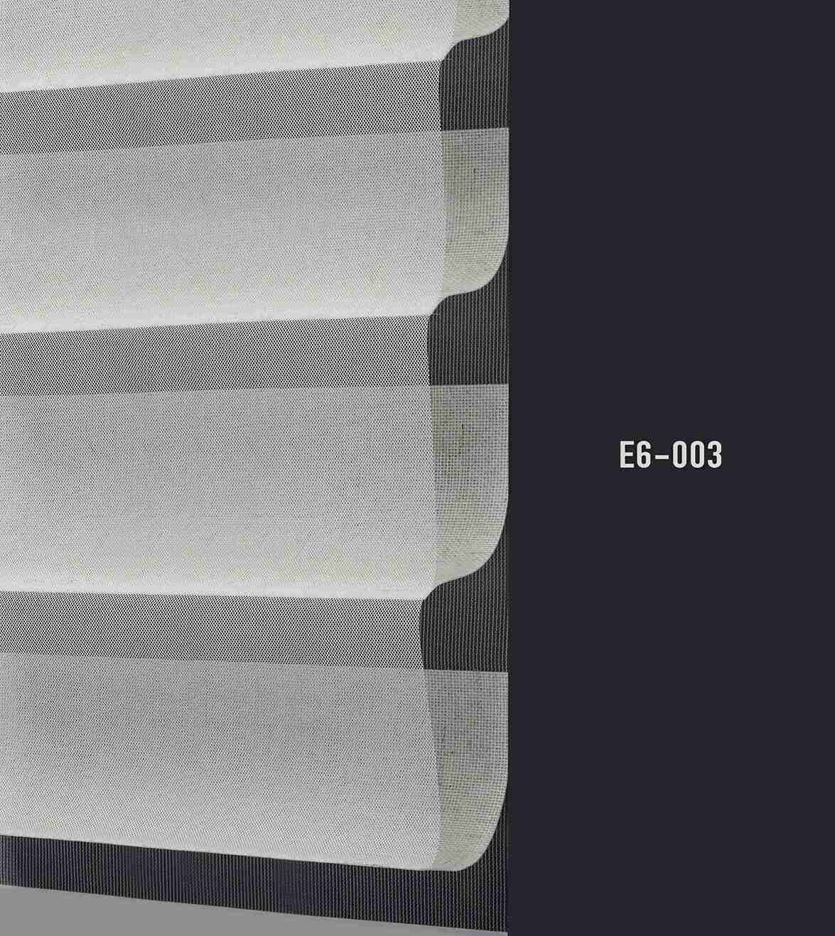 E6 003 img