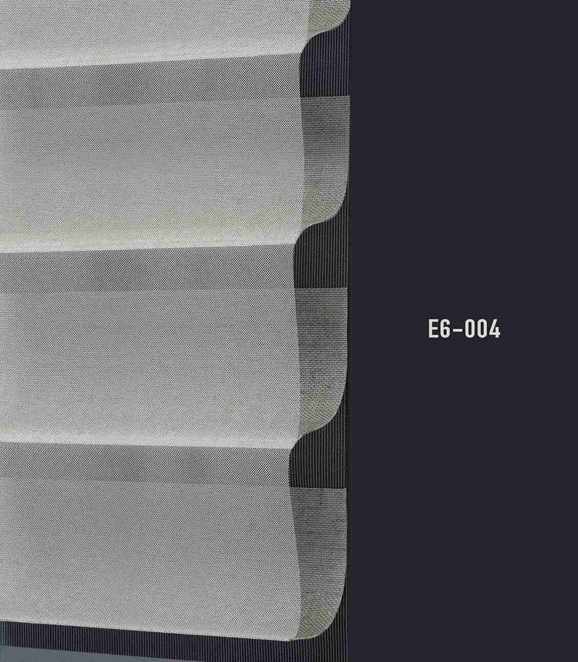 E6 004 img