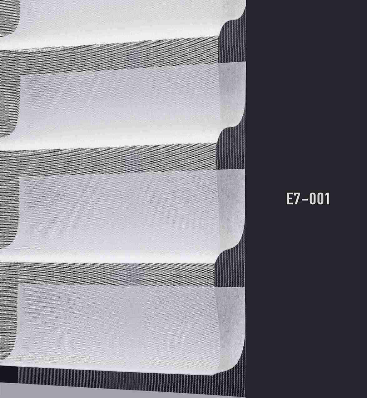 E7 001 img
