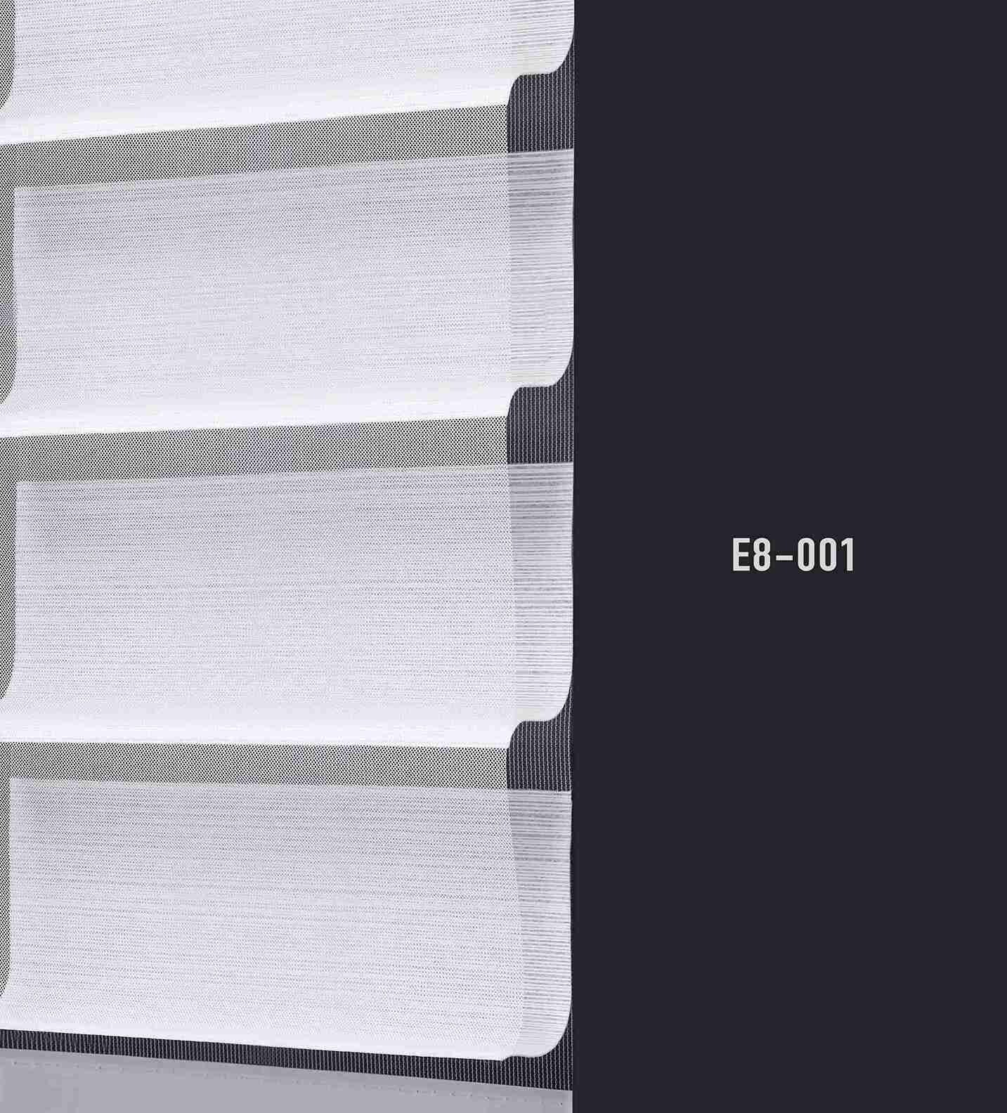 E8 001 img