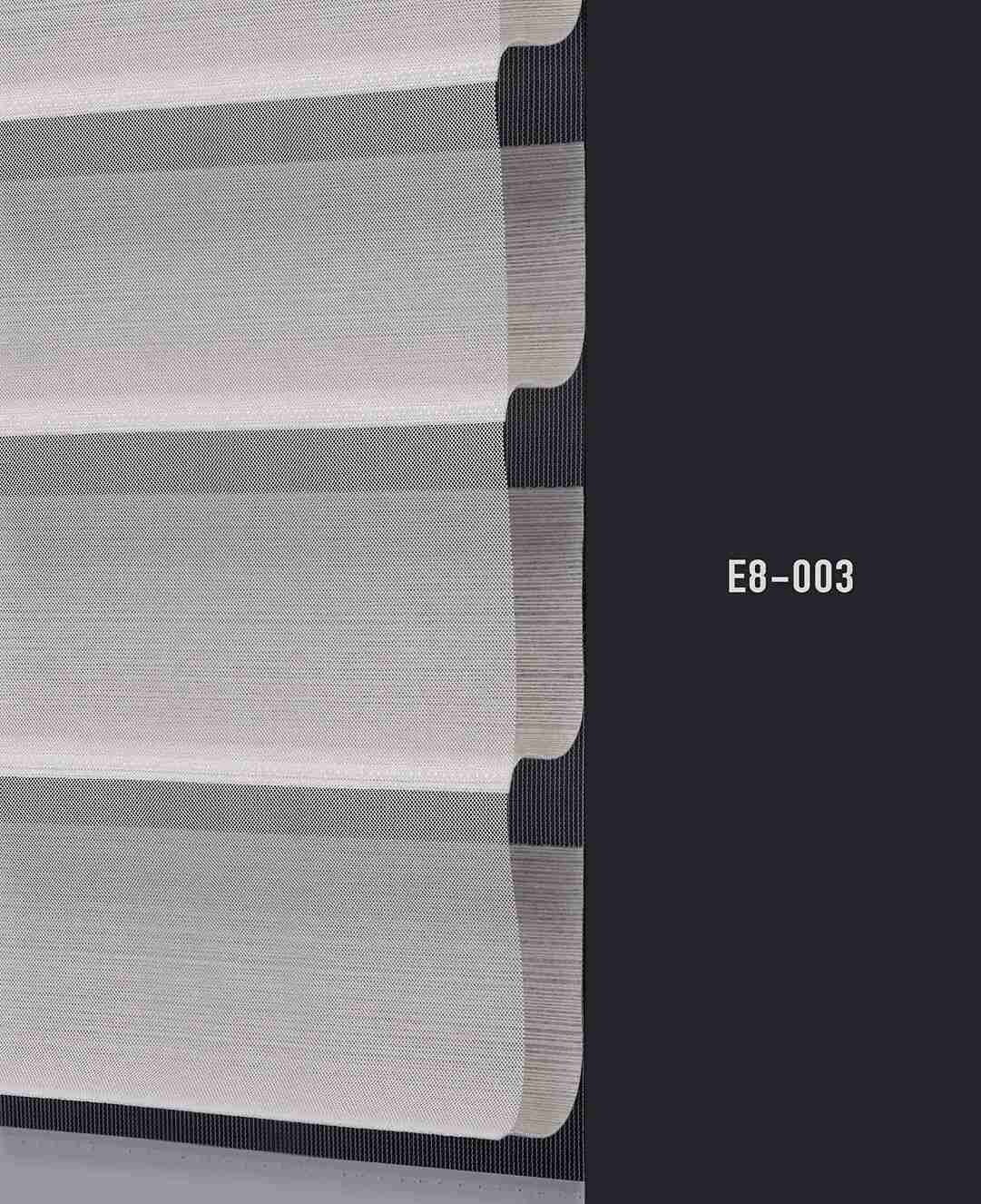 E8 003 img