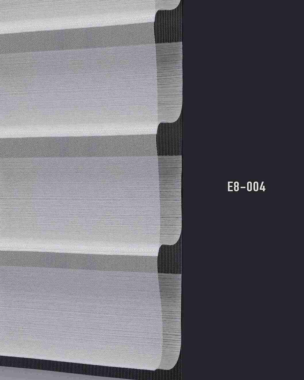 E8 004 img