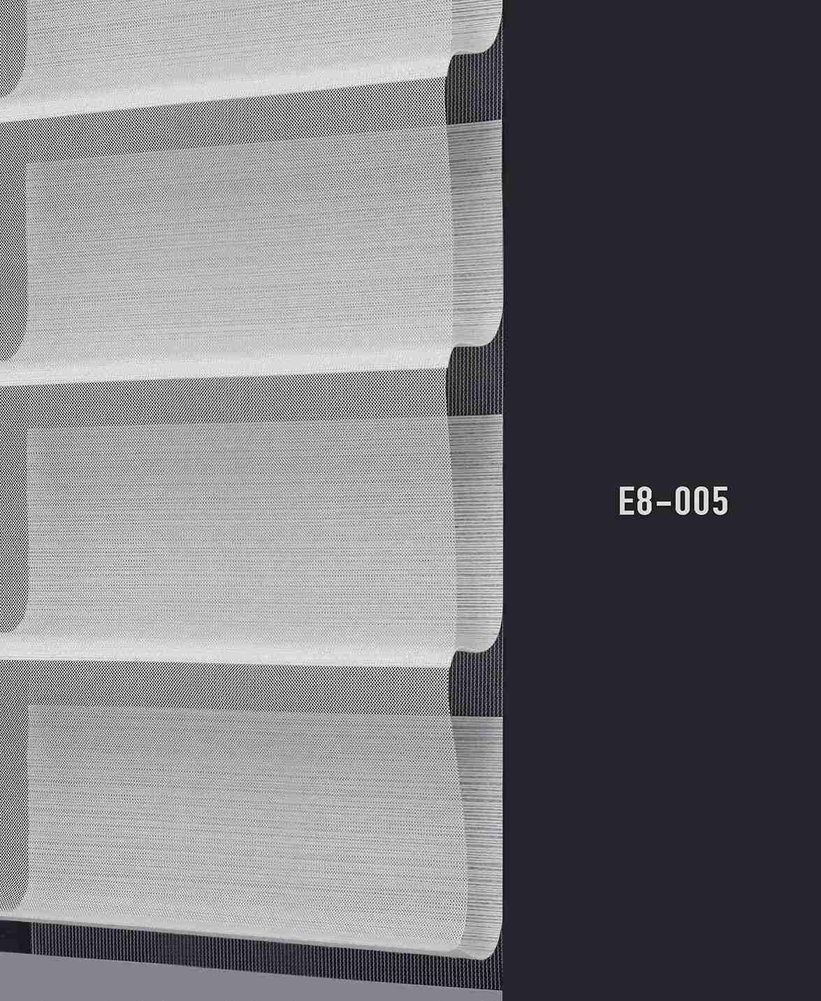 E8 005 img