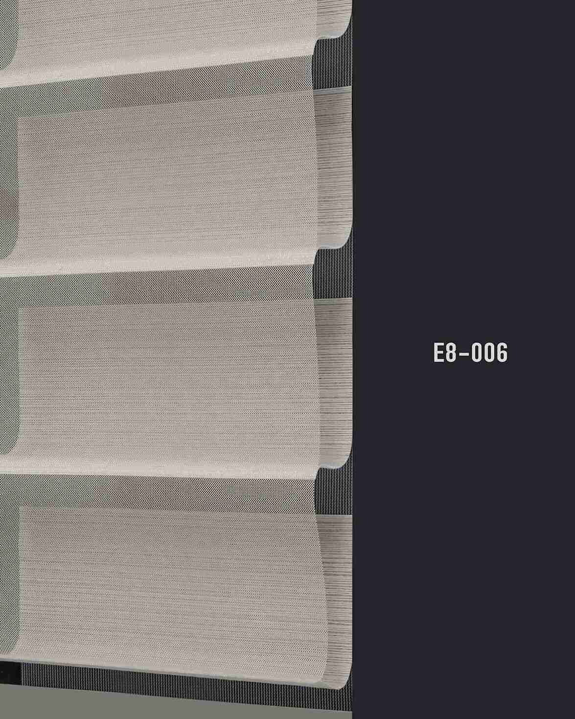 E8 006 img