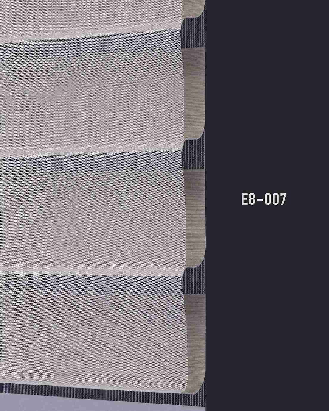 E8 007 img