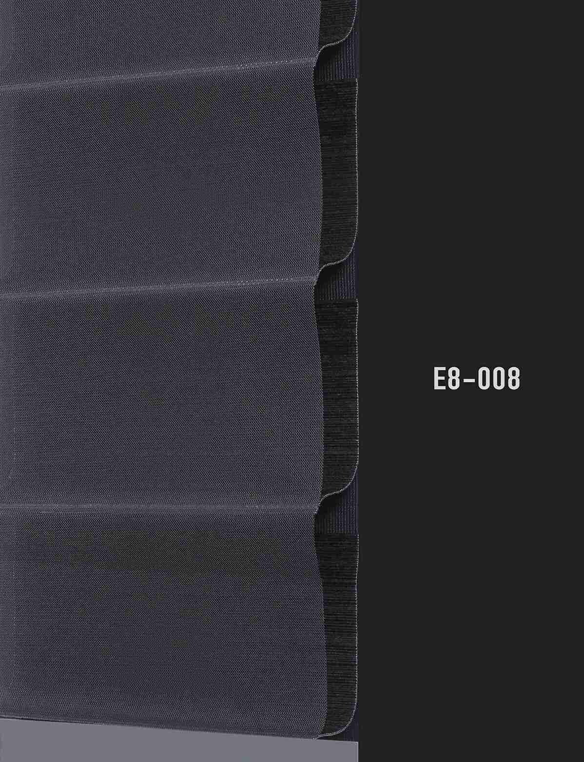 E8 008 img