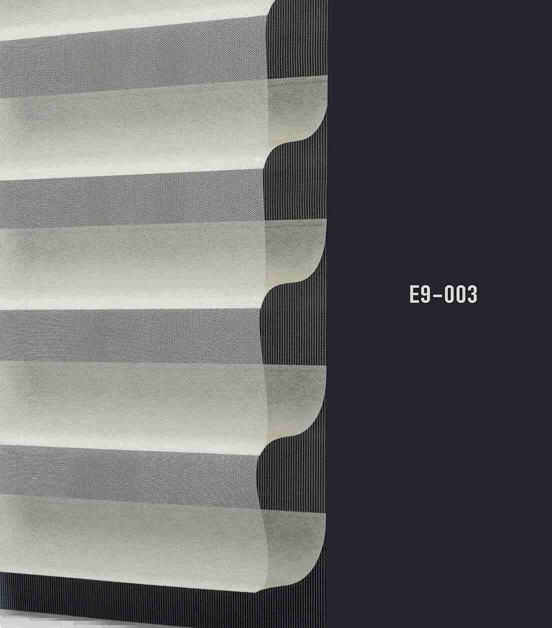 E9 003 img