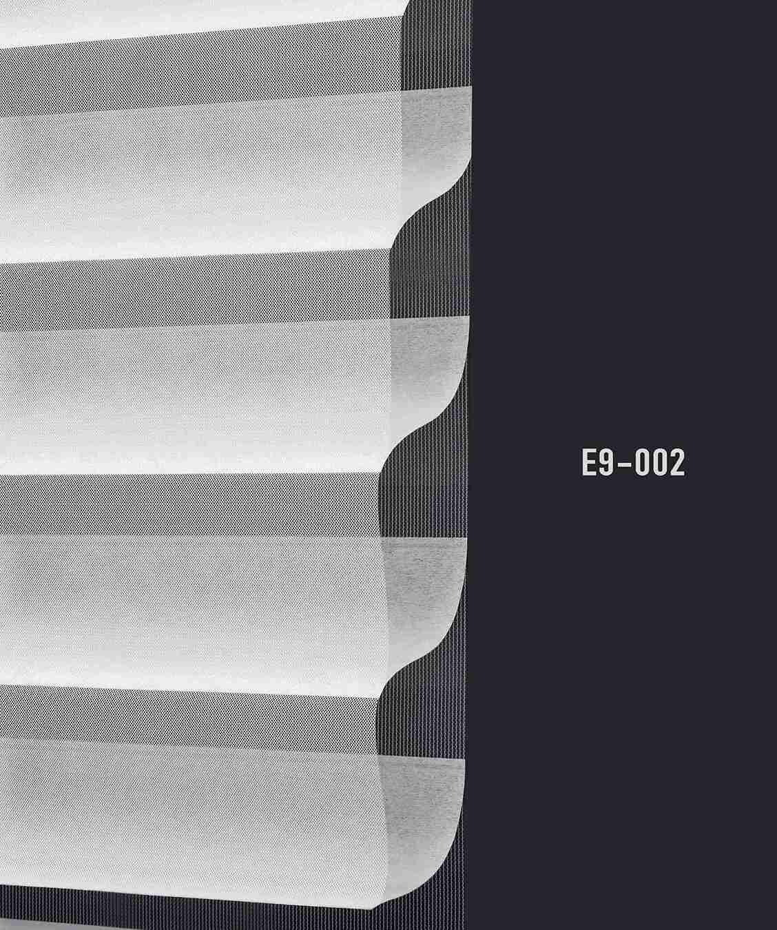 E9 002 img