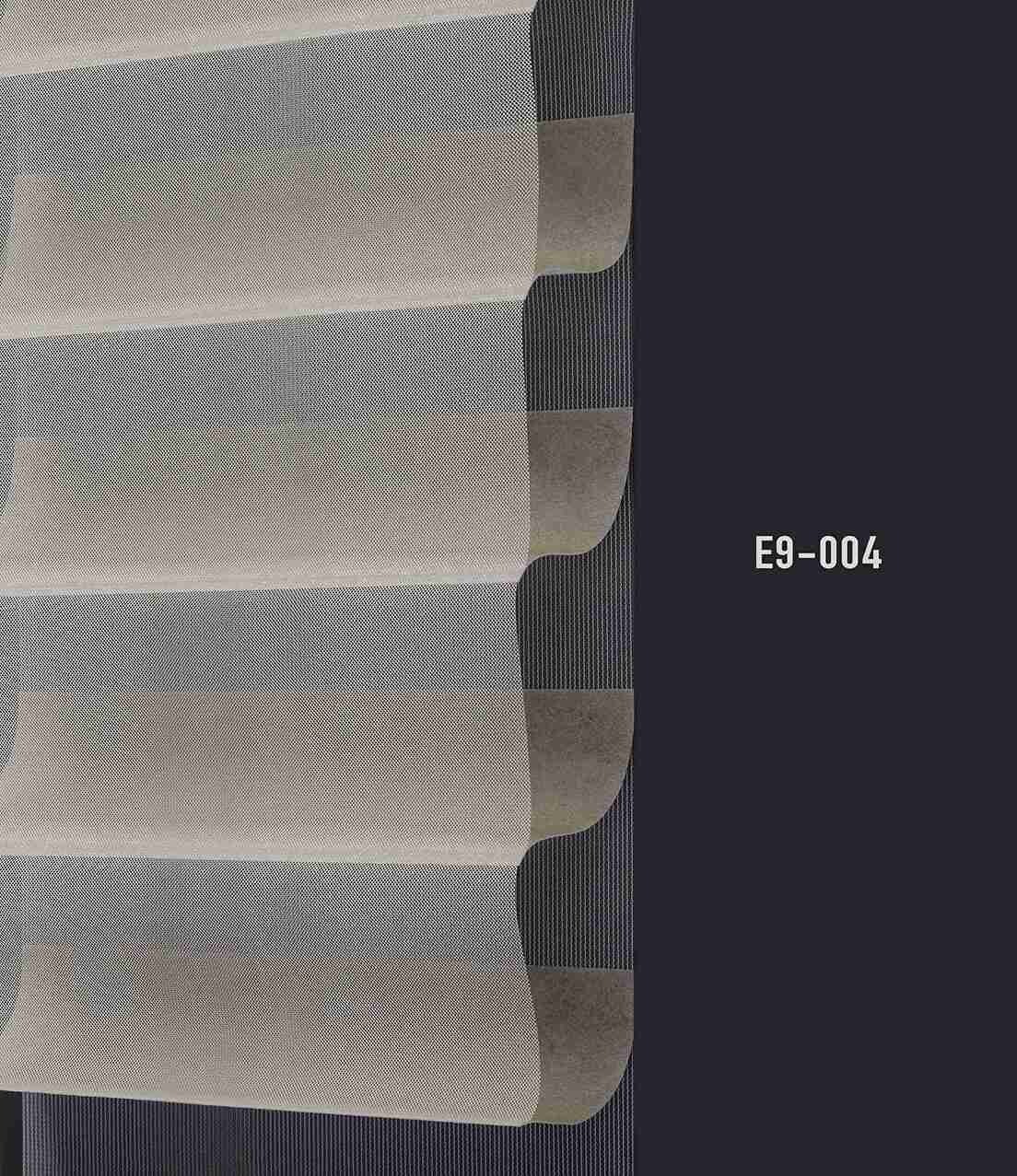 E9 004 img