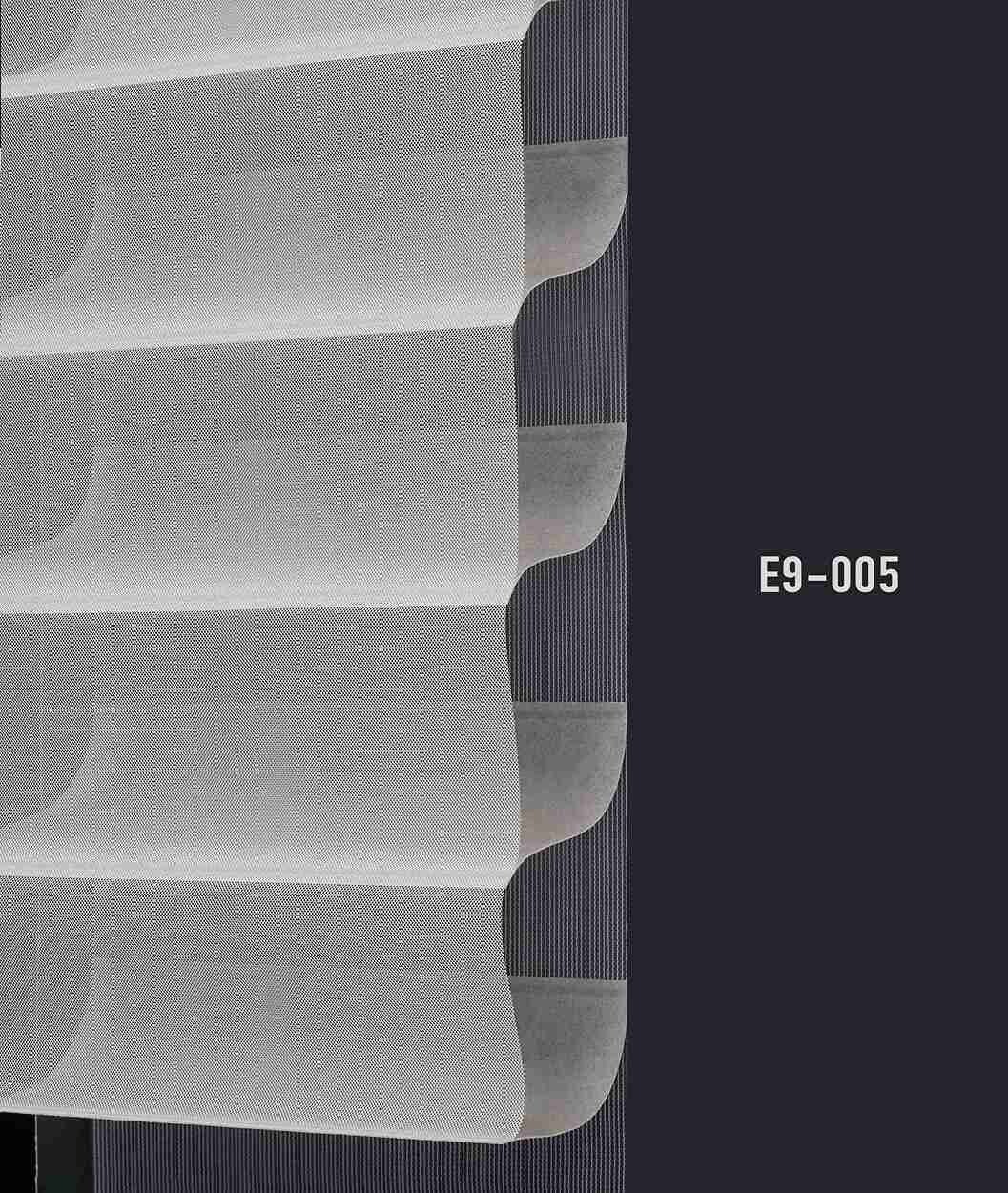E9 005 img