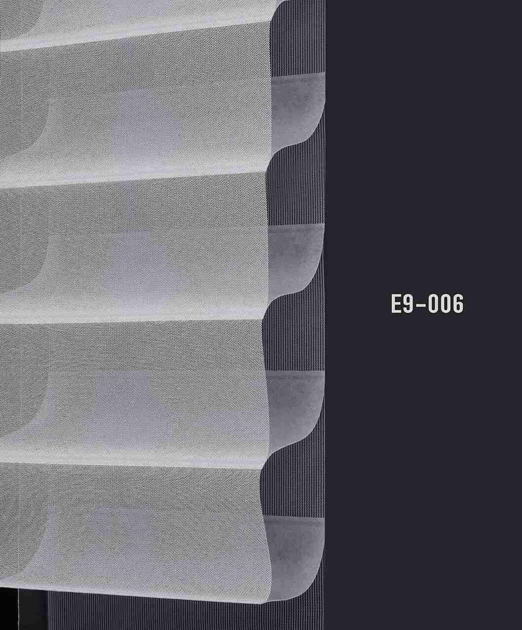 E9 006 img