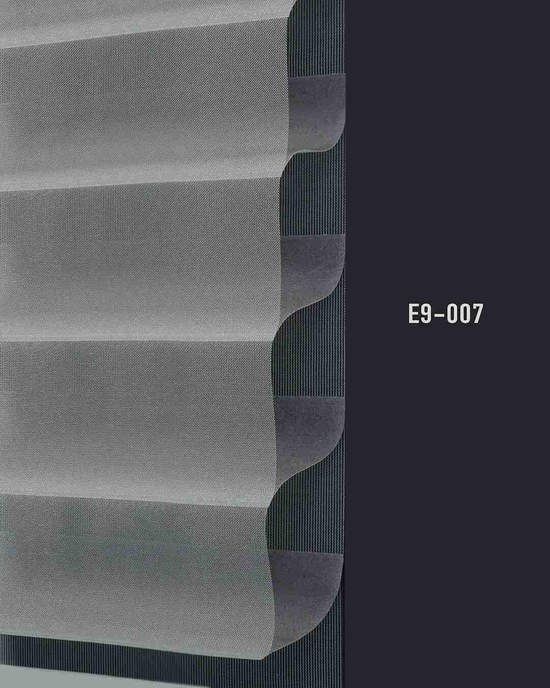 E9 007 img