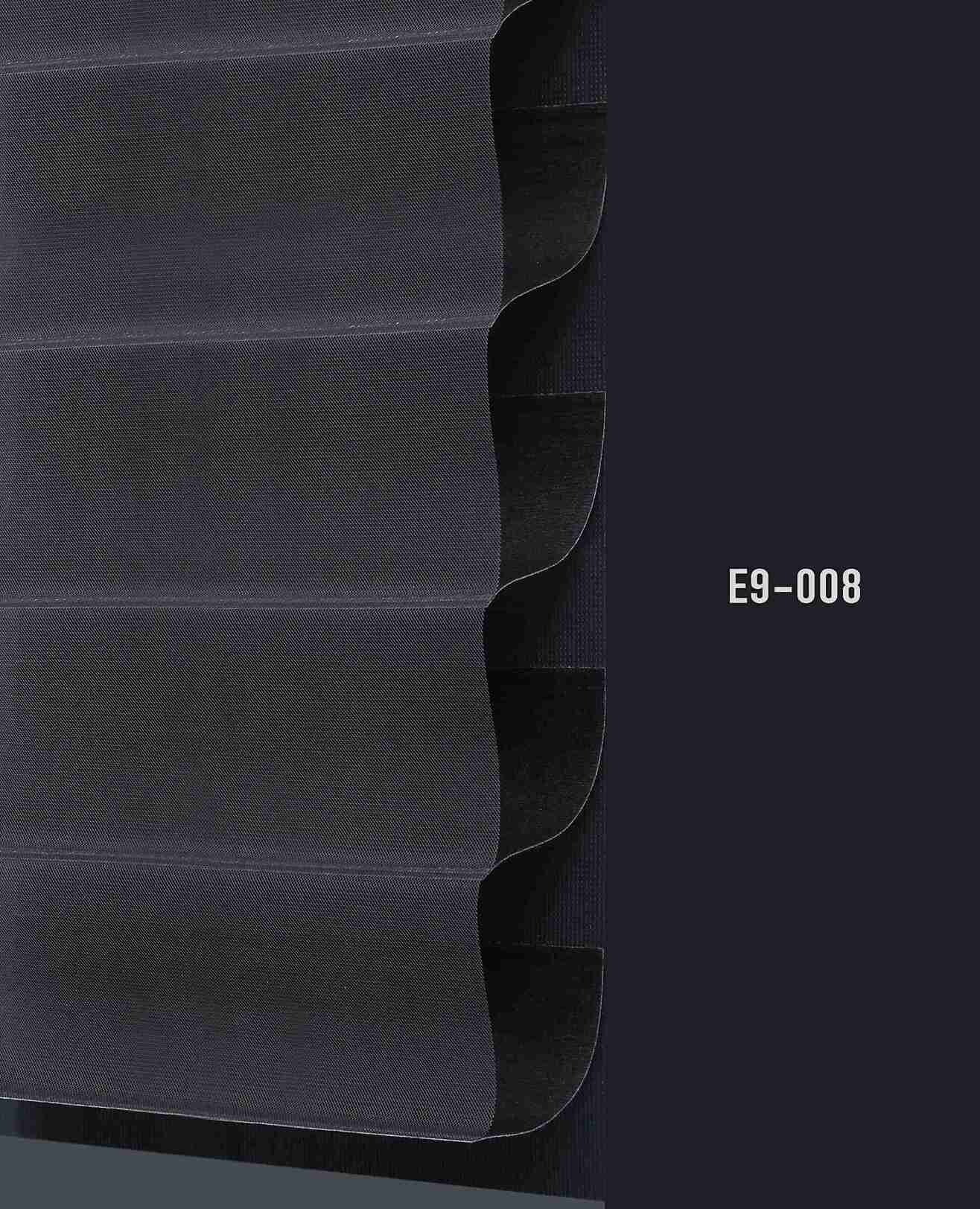 E9 008 img