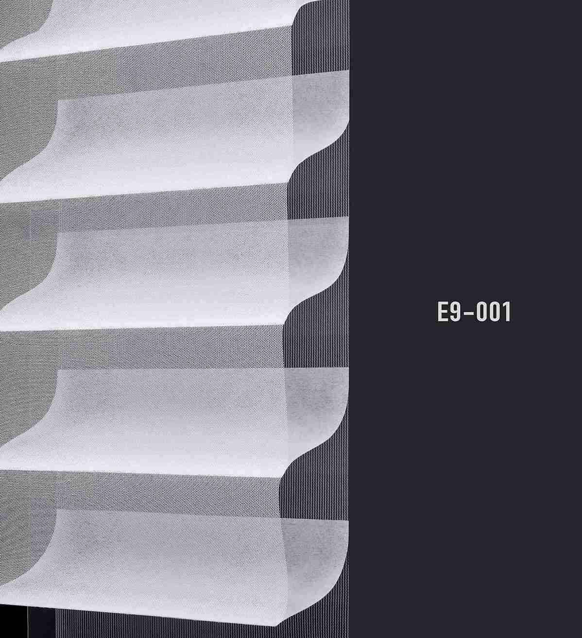 E9 001 img