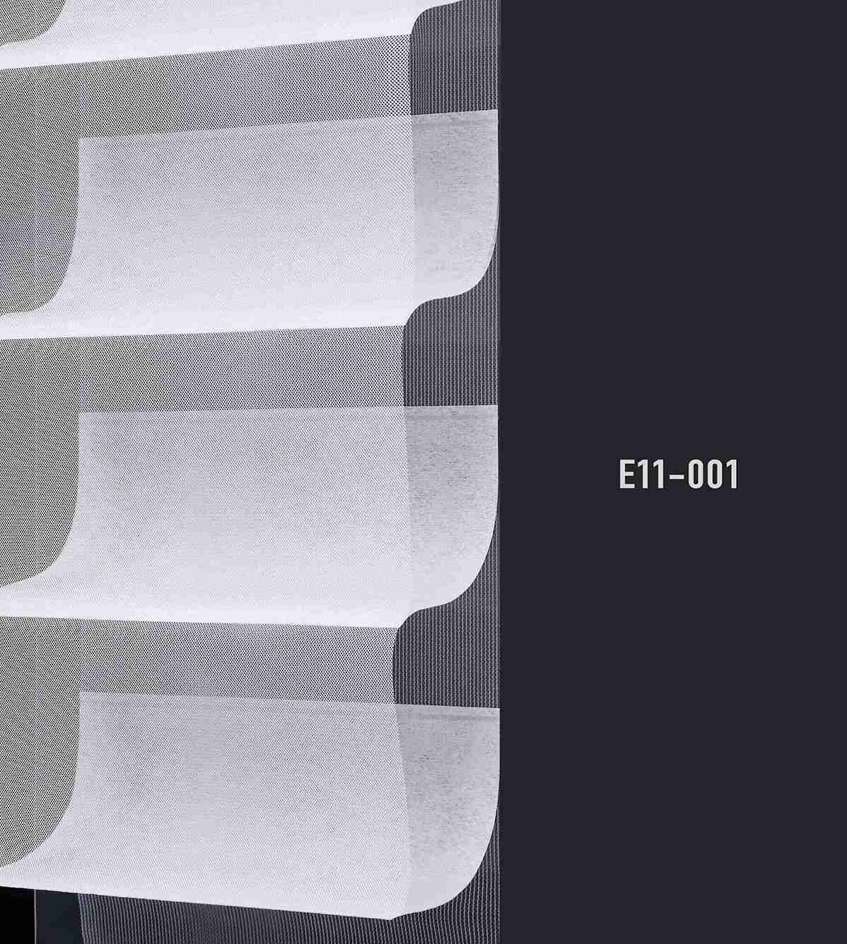 E11 001 img