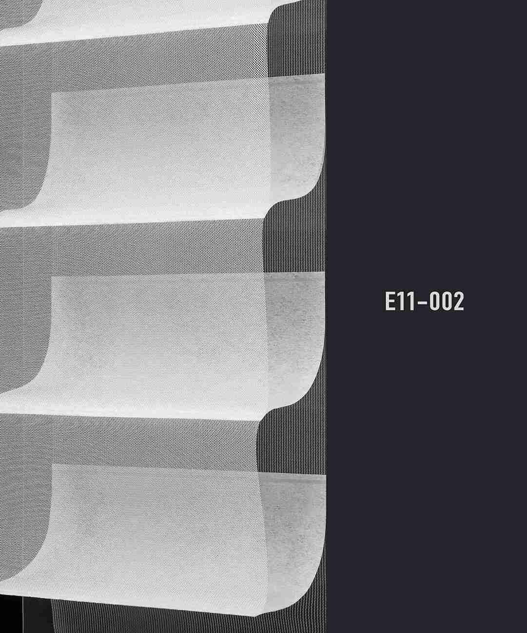 E11 002 img
