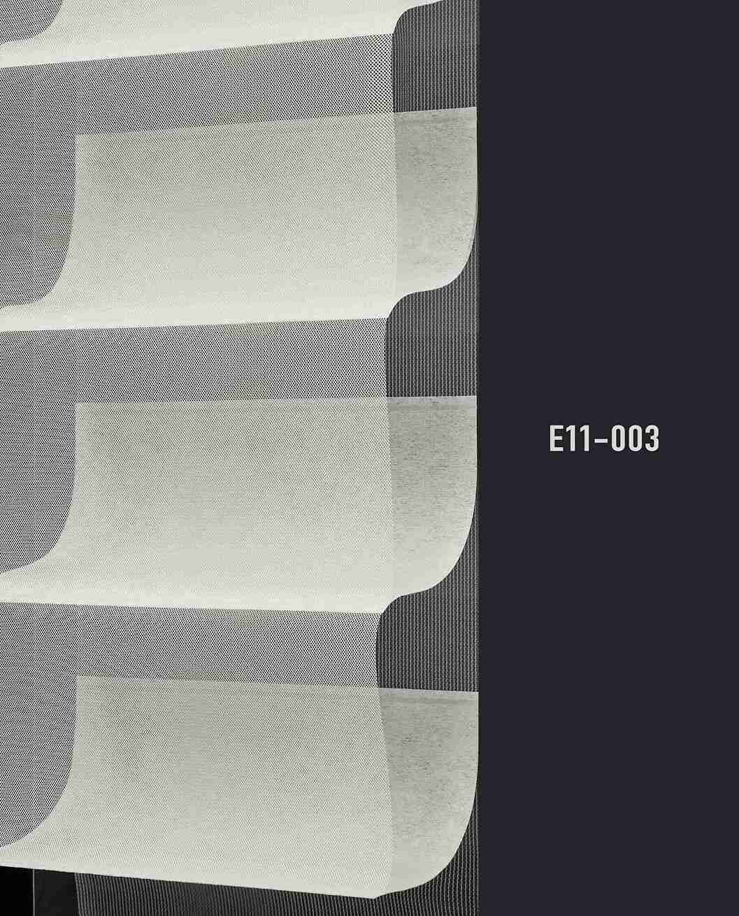 E11 003 img