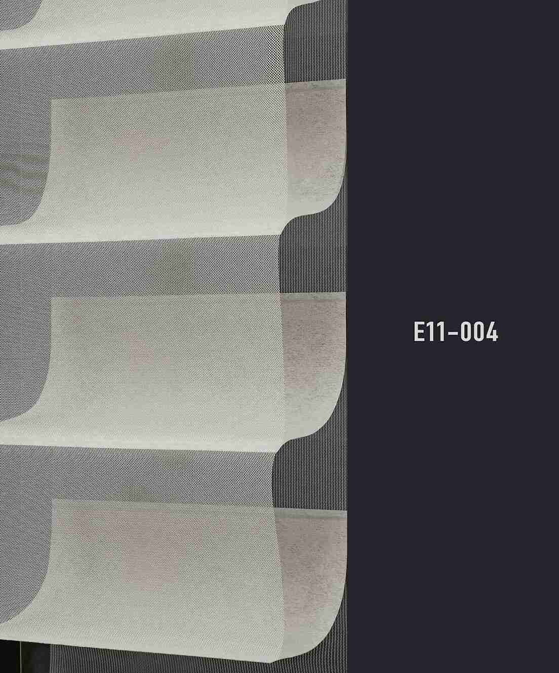 E11 004 img