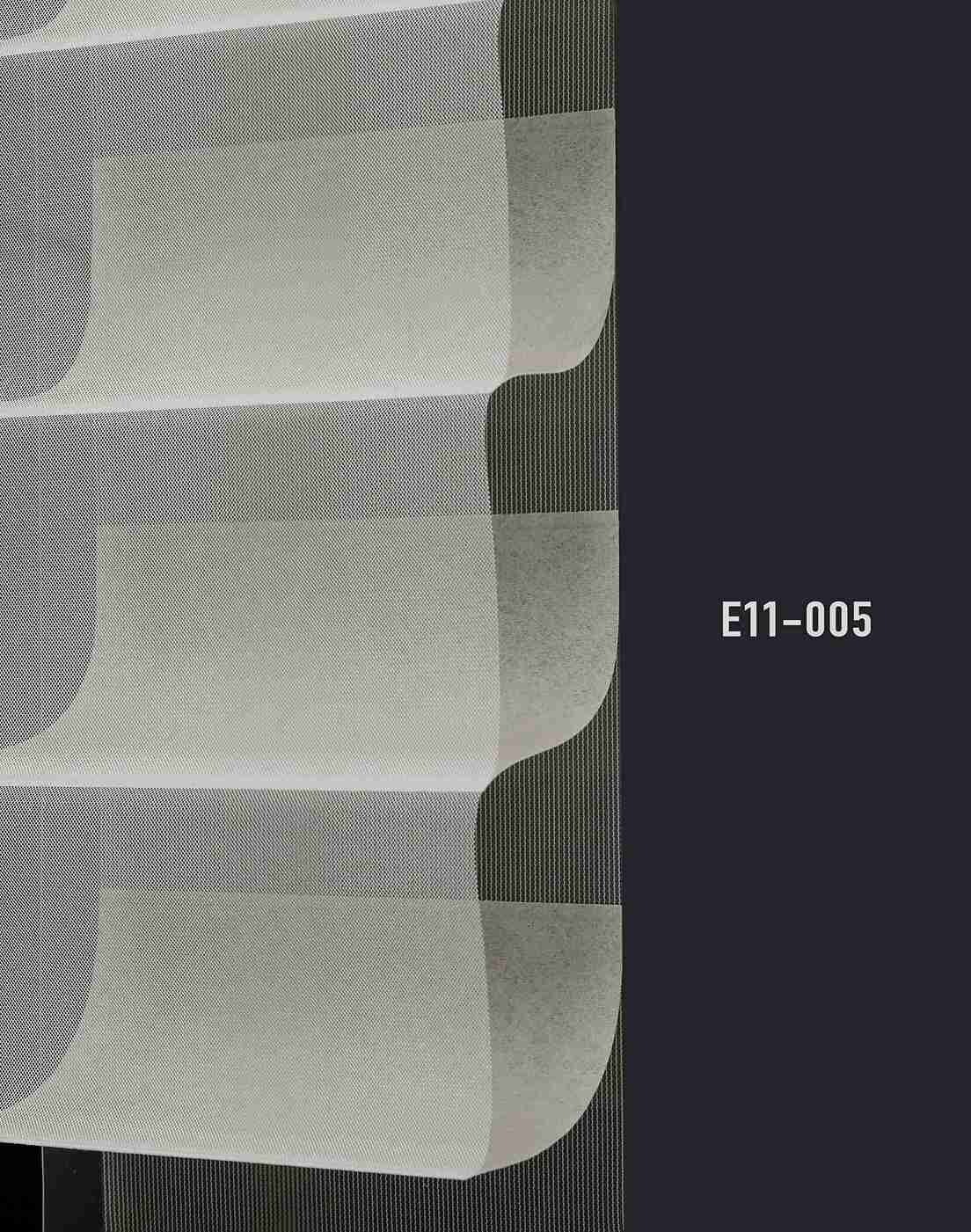 E11 005 img