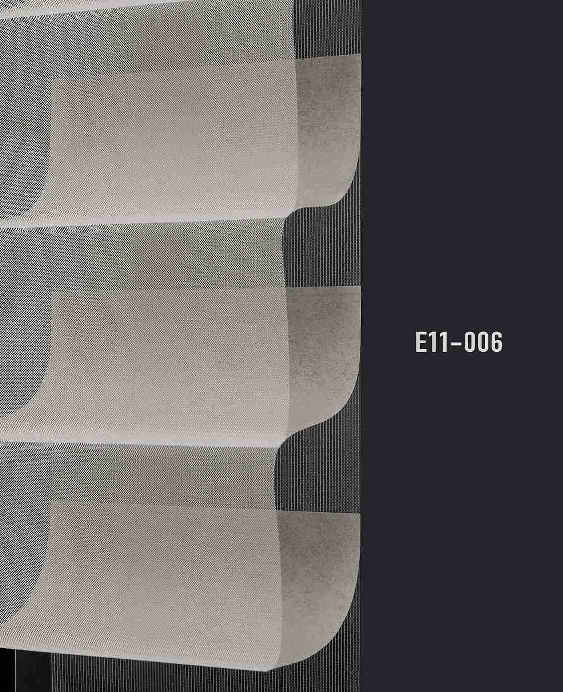 E11 006 img