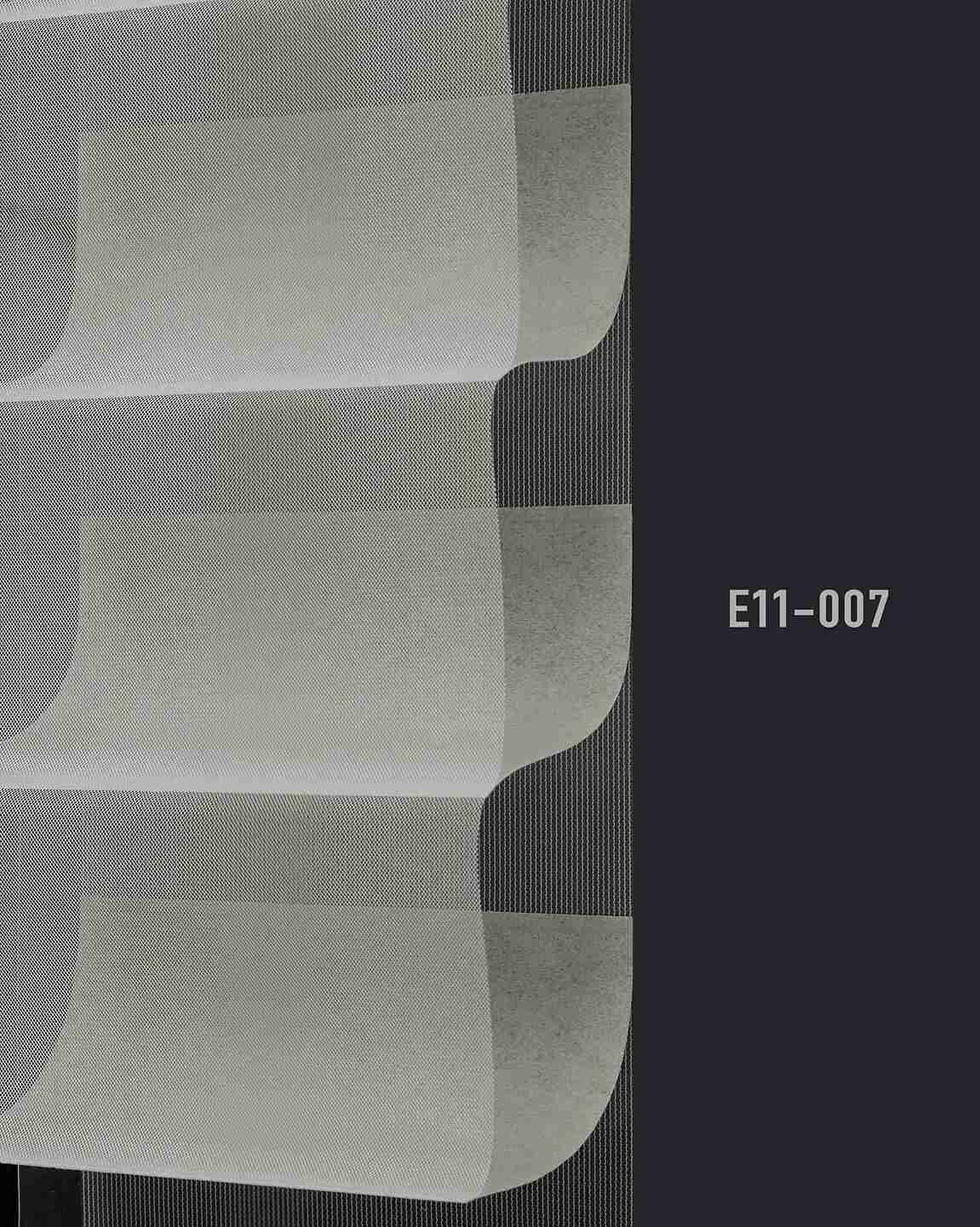 E11 007 img